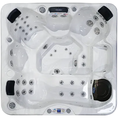 Avalon EC-849L hot tubs for sale in Lincoln